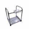 WOBS Walk on Bariatric Scale 300kg x 100g