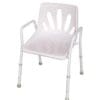 Economy Shower Chair