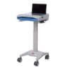 Laptop Cart with 200N, No power cord (M4000LM00)