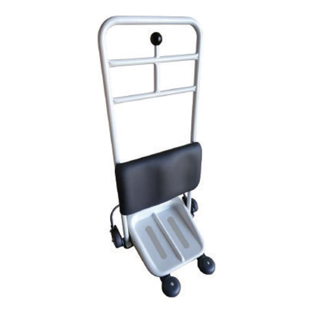 Staebel Transfer Platform