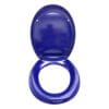 BetterLiving Cognitive Assistance Toilet Seat, Blue, Top and Bottom Fixing