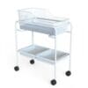 Mobile Acrylic Baby Bassinet, Single, Epoxy Frame