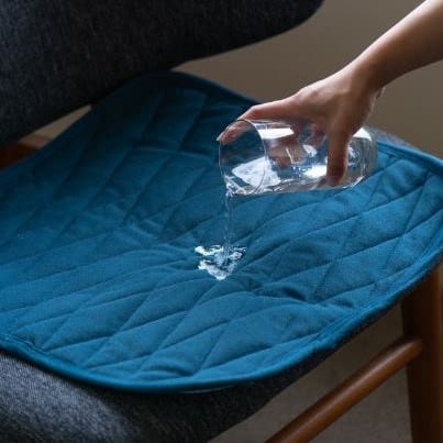 Staydry Absorbent Chair Pad