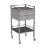 Stainless Steel Instrument Trolley, 490 x 490 x 900mm, 2 Drawers, With Rail