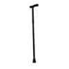 Walking Stick, Folding