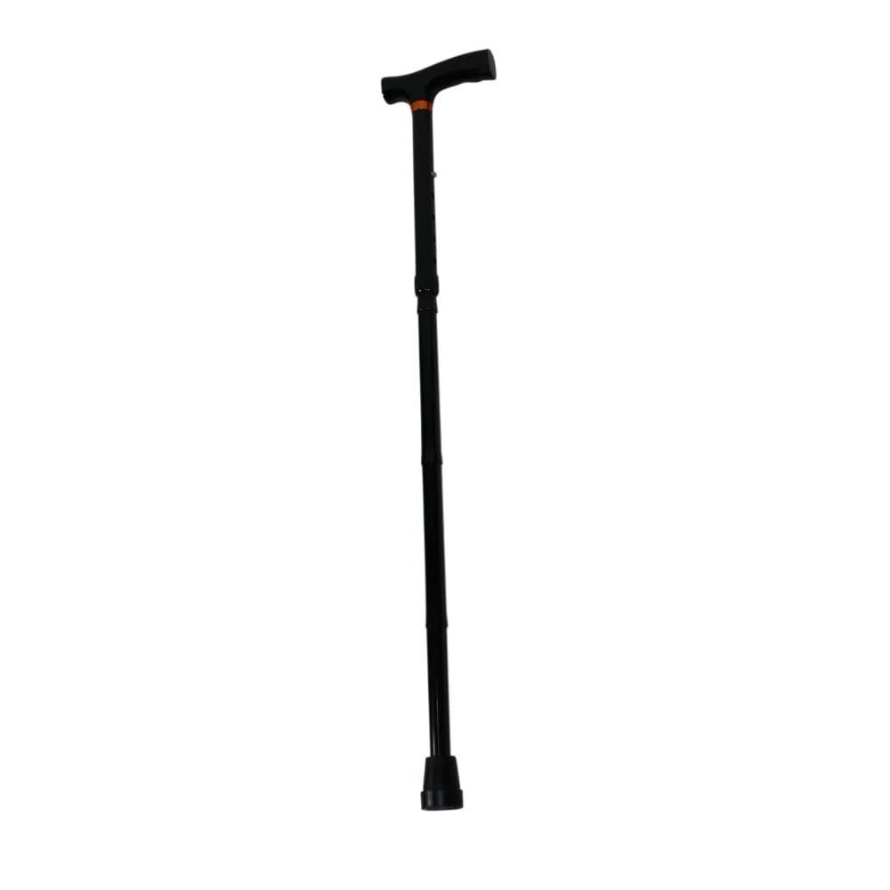 Walking Stick, Folding